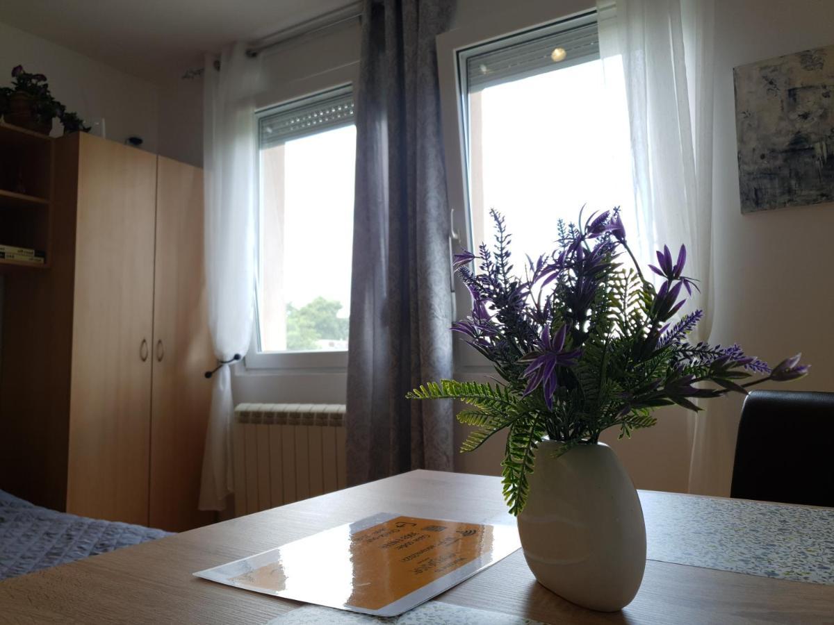 Apartman 64 - Besplatan Parking Za Goste Novi Sad Exteriér fotografie